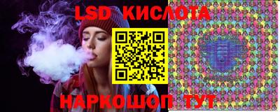 a pvp Новозыбков