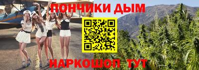 a pvp Новозыбков